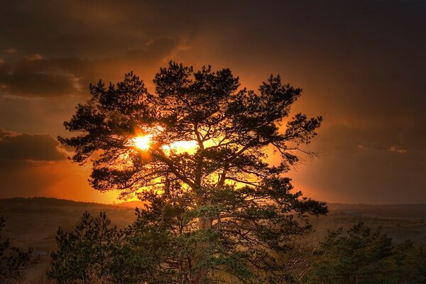 Beau coucher de soleil le soir