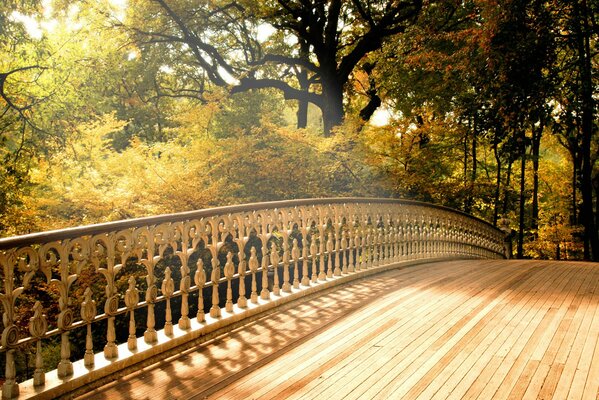 Pont longeant les arbres