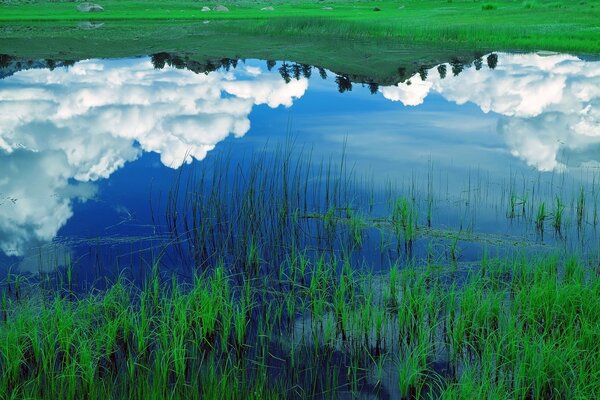 Reflection of clouds in a lake with green grass