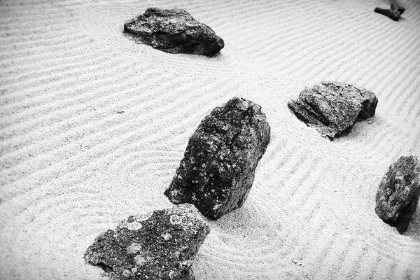 Foto en blanco y negro de piedras en la arena