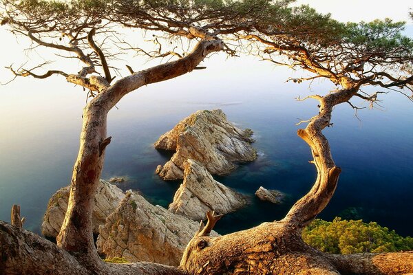 Bellissimo paesaggio del mare dalla riva