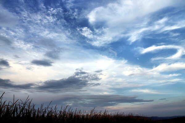 Wolken schweben über dem Feld am Himmel