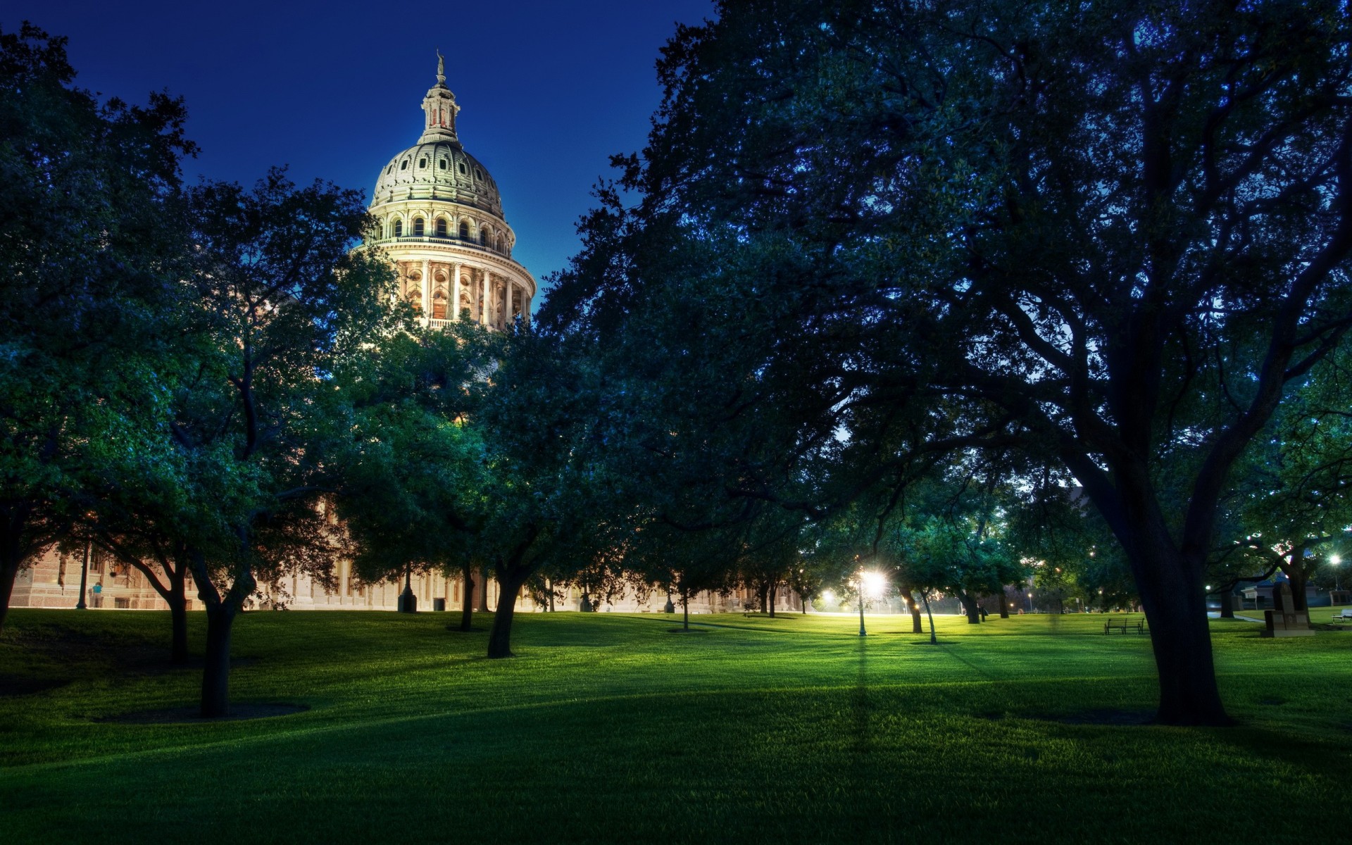 arbres capitole austin