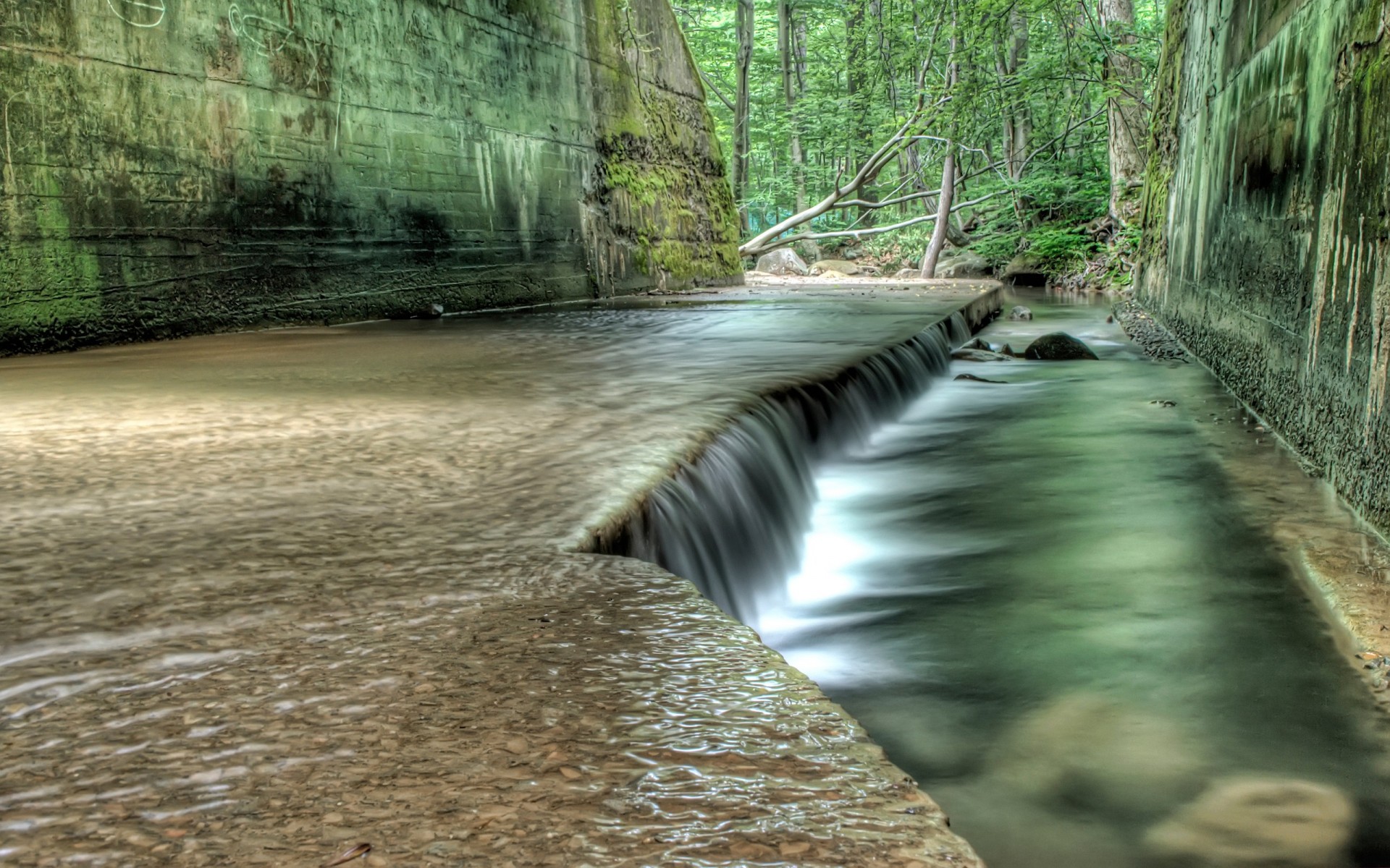 green wall water