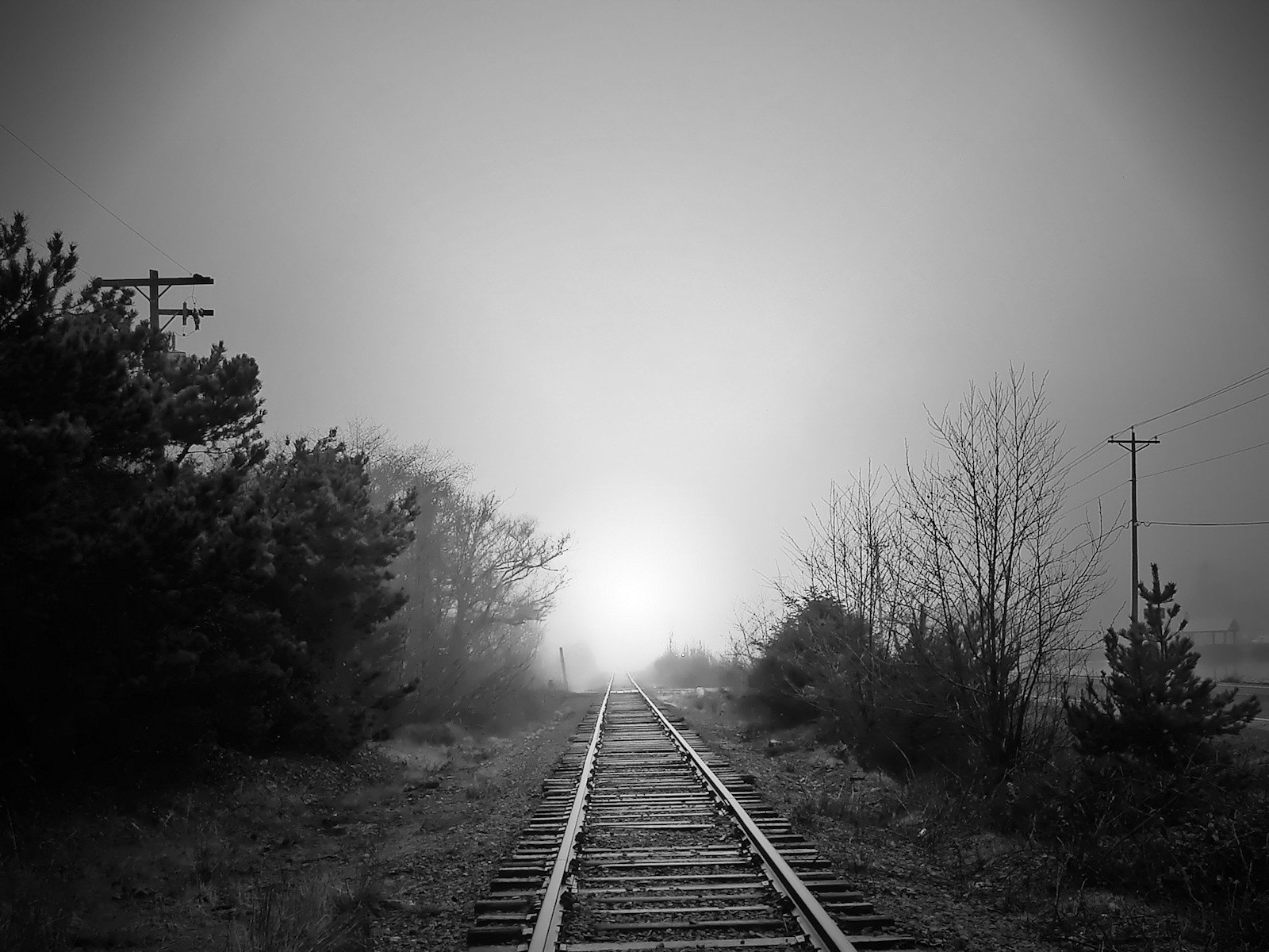 noir et blanc chemin de fer route brouillard