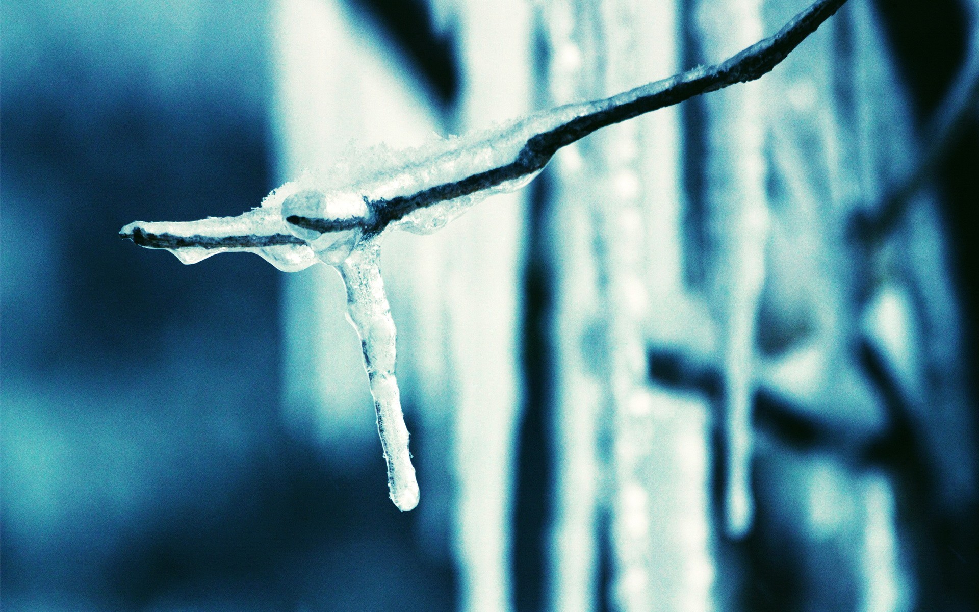 eis eiszapfen zweig blau