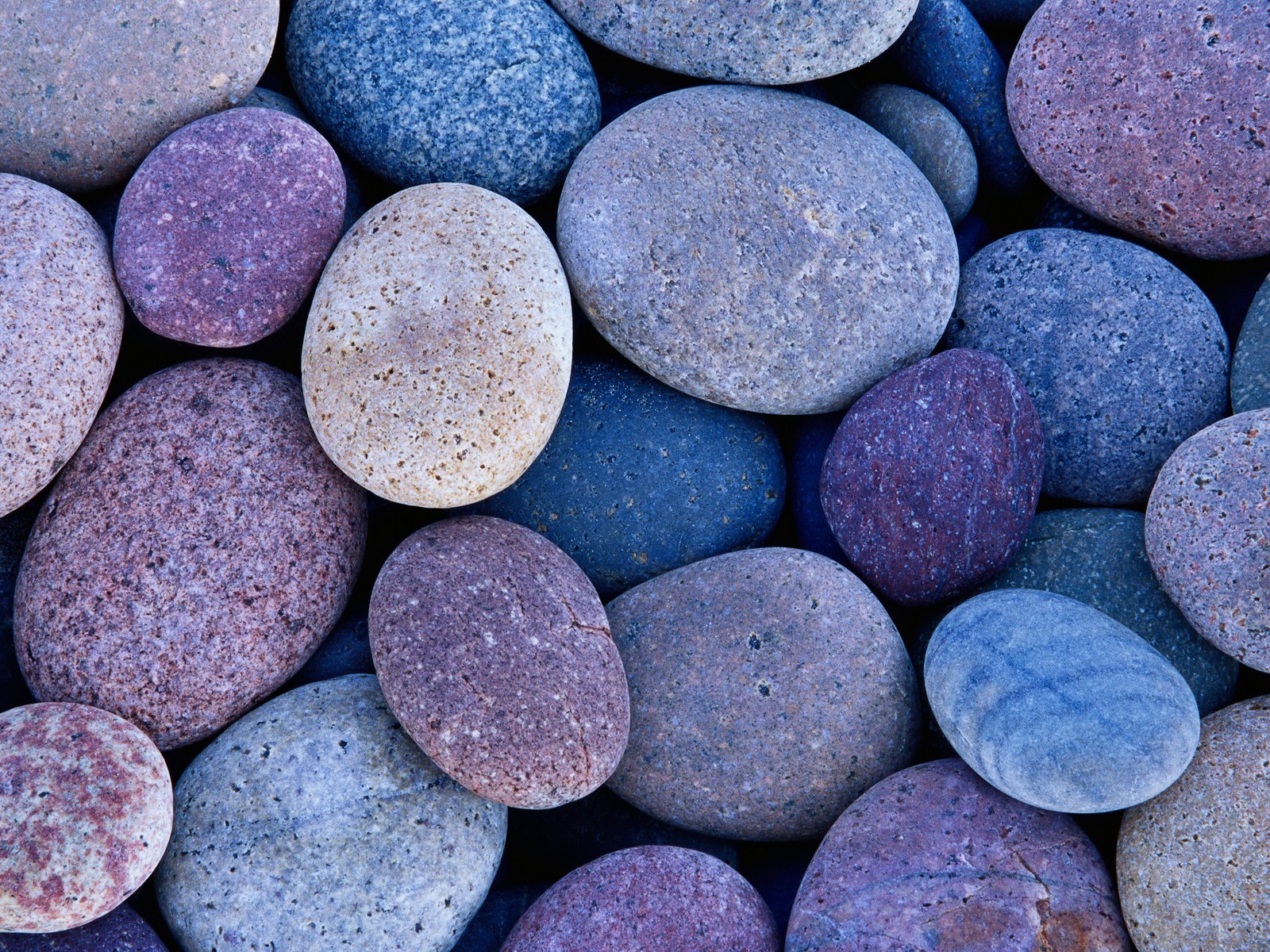 guijarros piedras azul púrpura