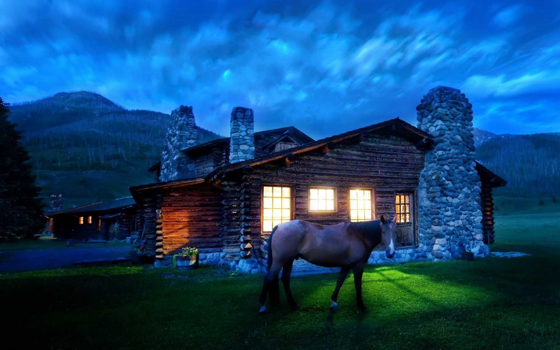 house light horse