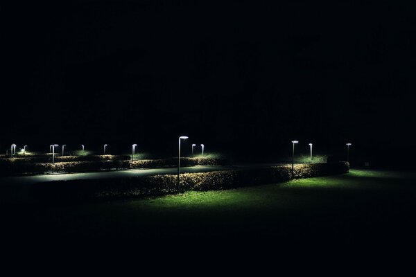 Lanterns in the night park illuminate bushes and grass