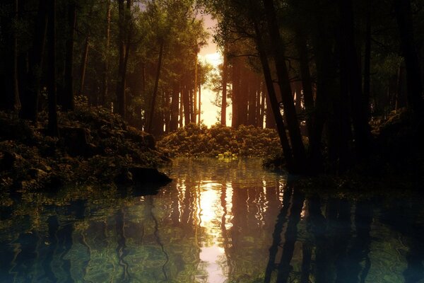 Sunset is reflected in a forest river surrounded by trees