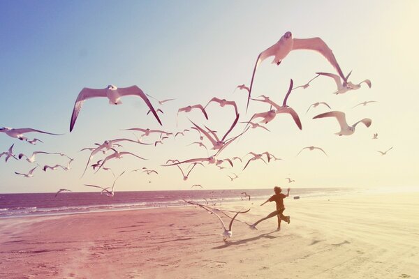 Gaviotas en la playa. Mar. Niños