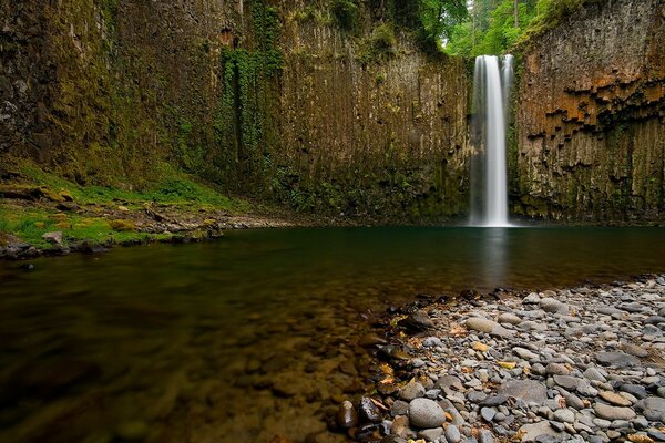 Лесной водопад в речку с каменным дном