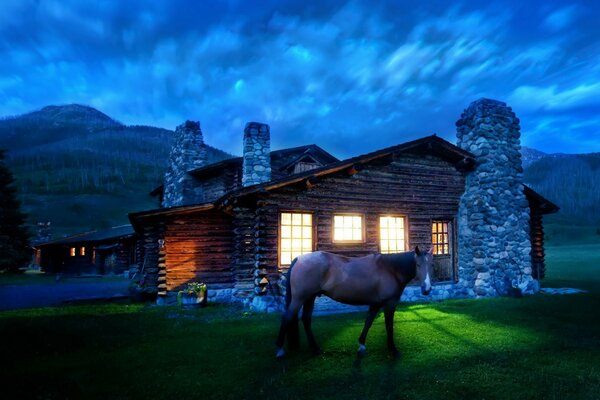 Horse on the background of a cozy house