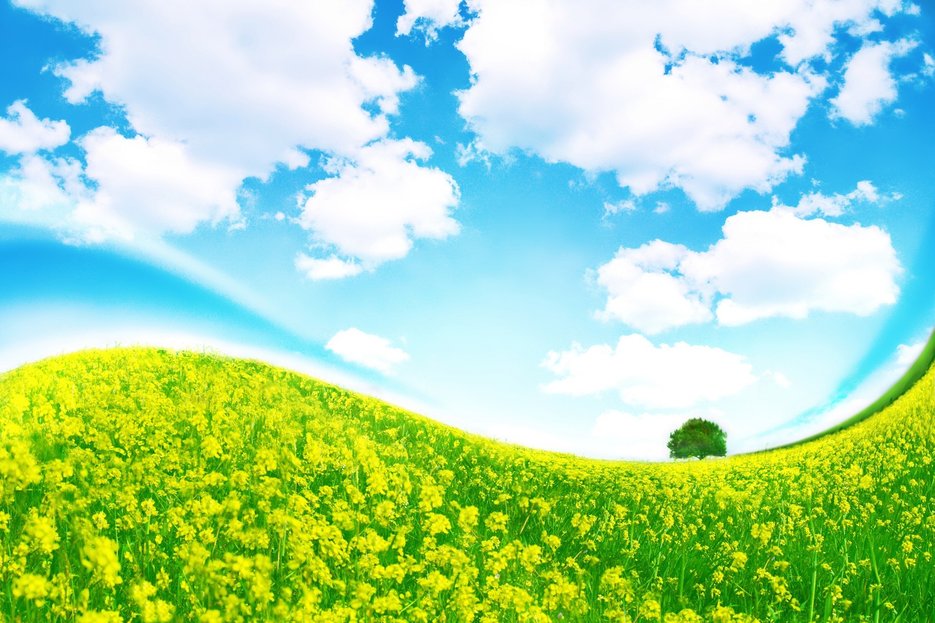 wolken gras baum himmel biegen