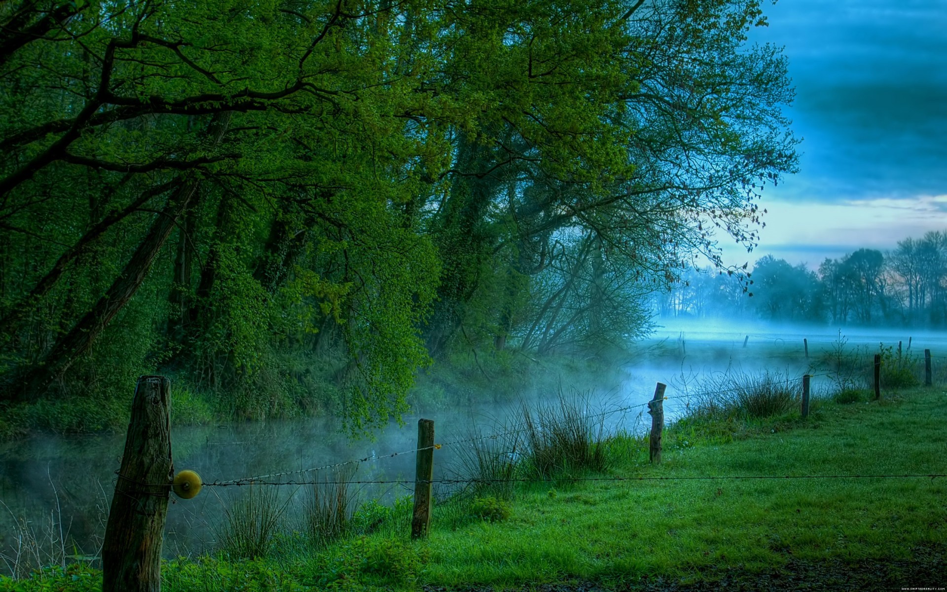 matin pré rivière brouillard