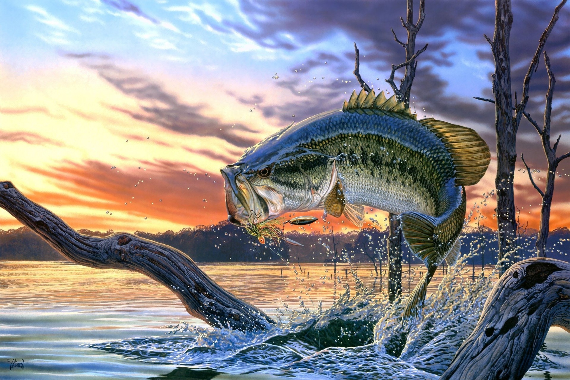 fish art river perch