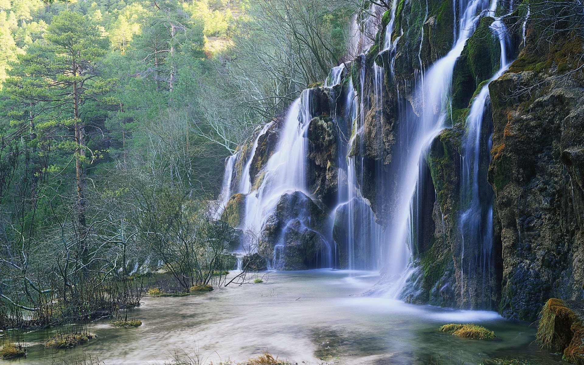 cascada árboles bosque