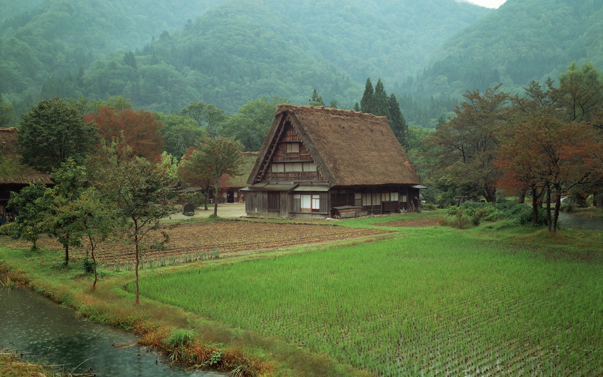 house the field forest