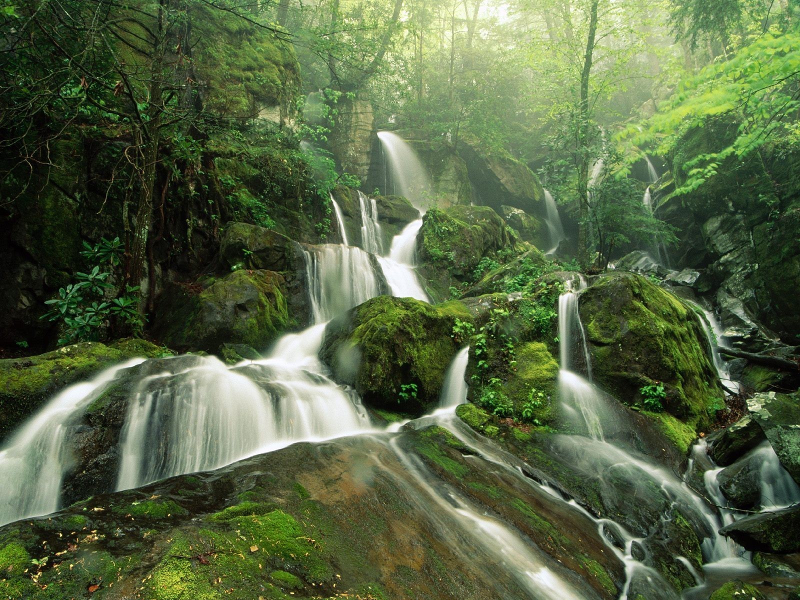 wasserfall steine bäume wald grün