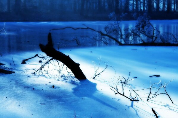 Flussufer im Winter. Treibholz im Schnee