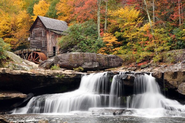 Hermoso parque de otoño. Cascada