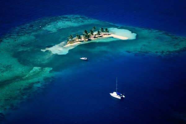 Po island in the middle of the sea with trees