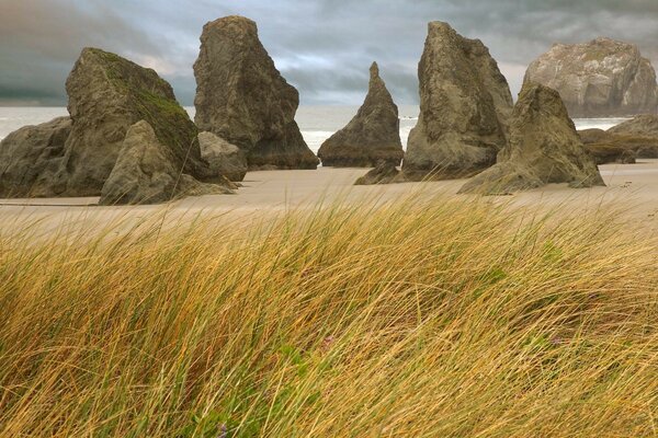 Stone rocks. Tall yellow grass