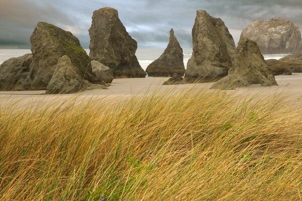 Roches de pierre. Haute herbe jaune