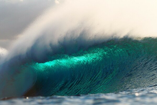 Un enorme onda in un oceano di colore azzurro