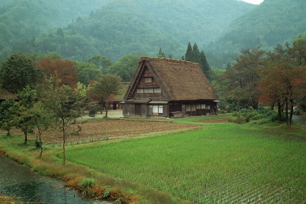 House near the forest on the background of mountains and fog