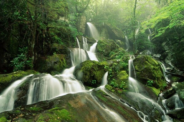 Lunga cascata sulle rocce nella foresta