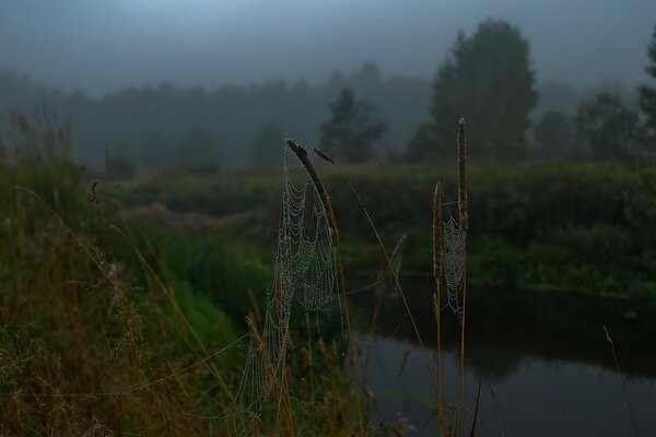 Matin frais d automne au bord de la rivière