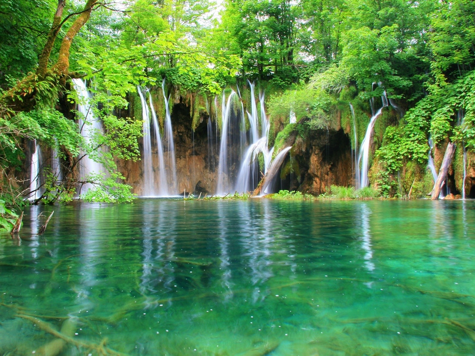 cascata acqua foresta