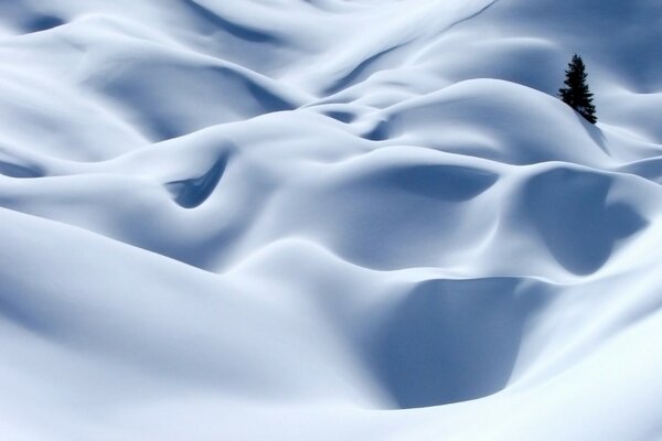 Snow-white landscape of the Alps with a lone tree