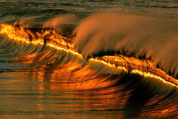 The sunset glow falls on the sea wave