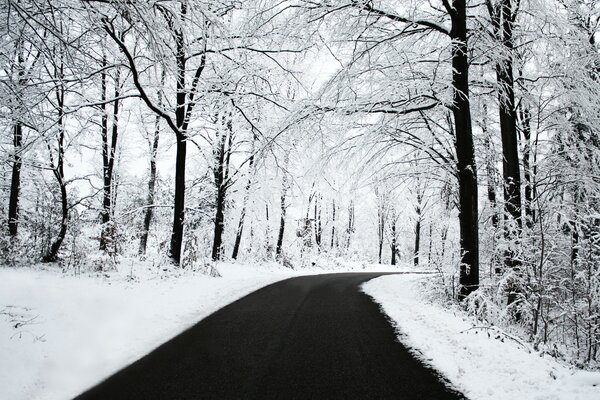 Winter road to the forest