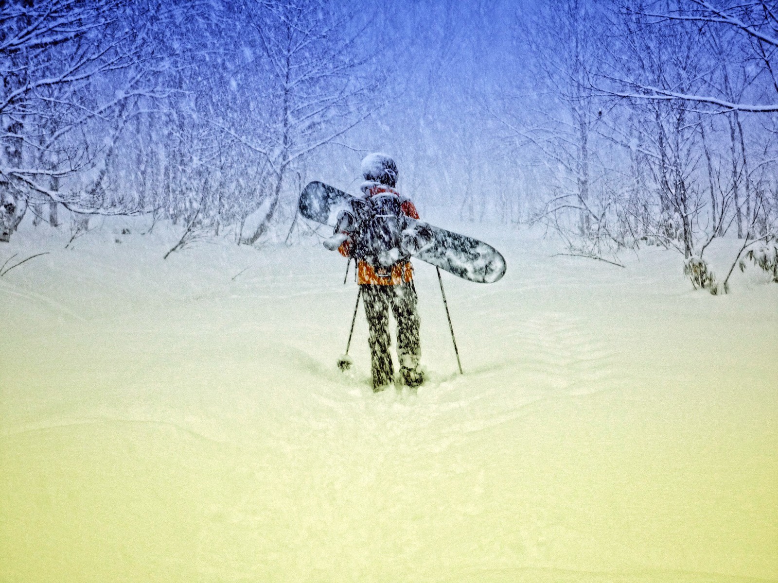 mann schnee wind bäume