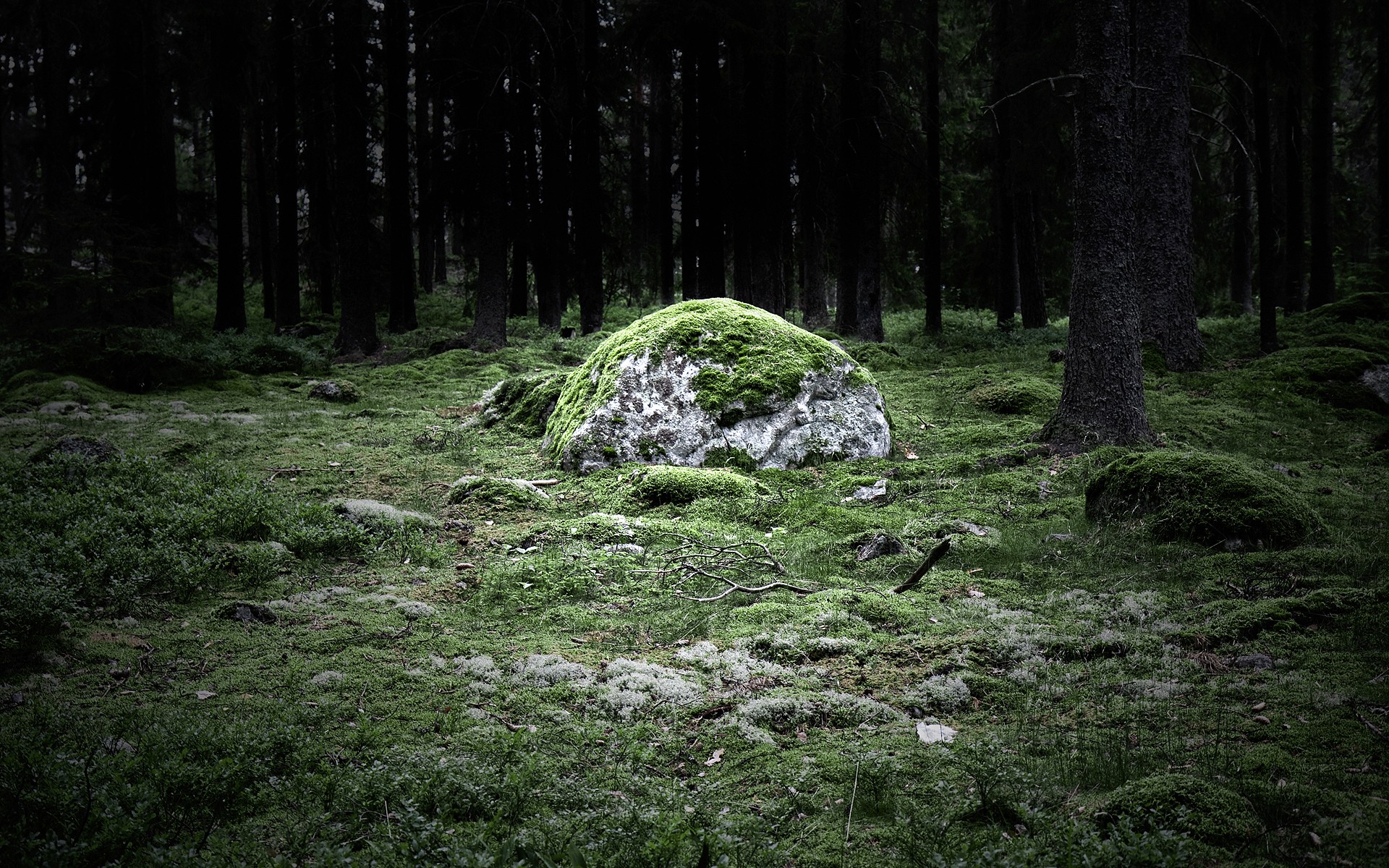 magicstone stein wald