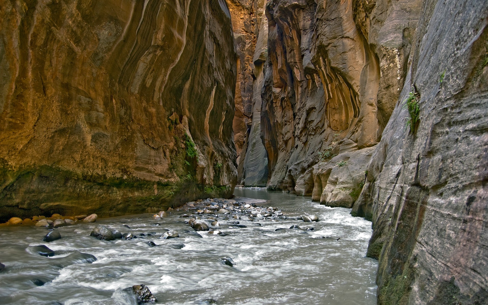 roca río garganta piedras