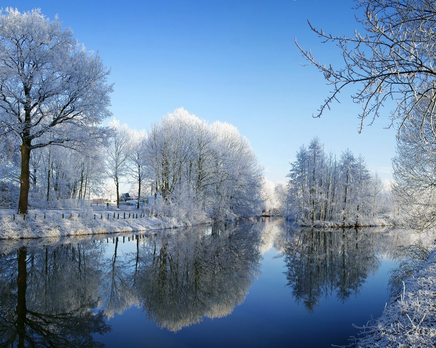 winter river tree frost snow