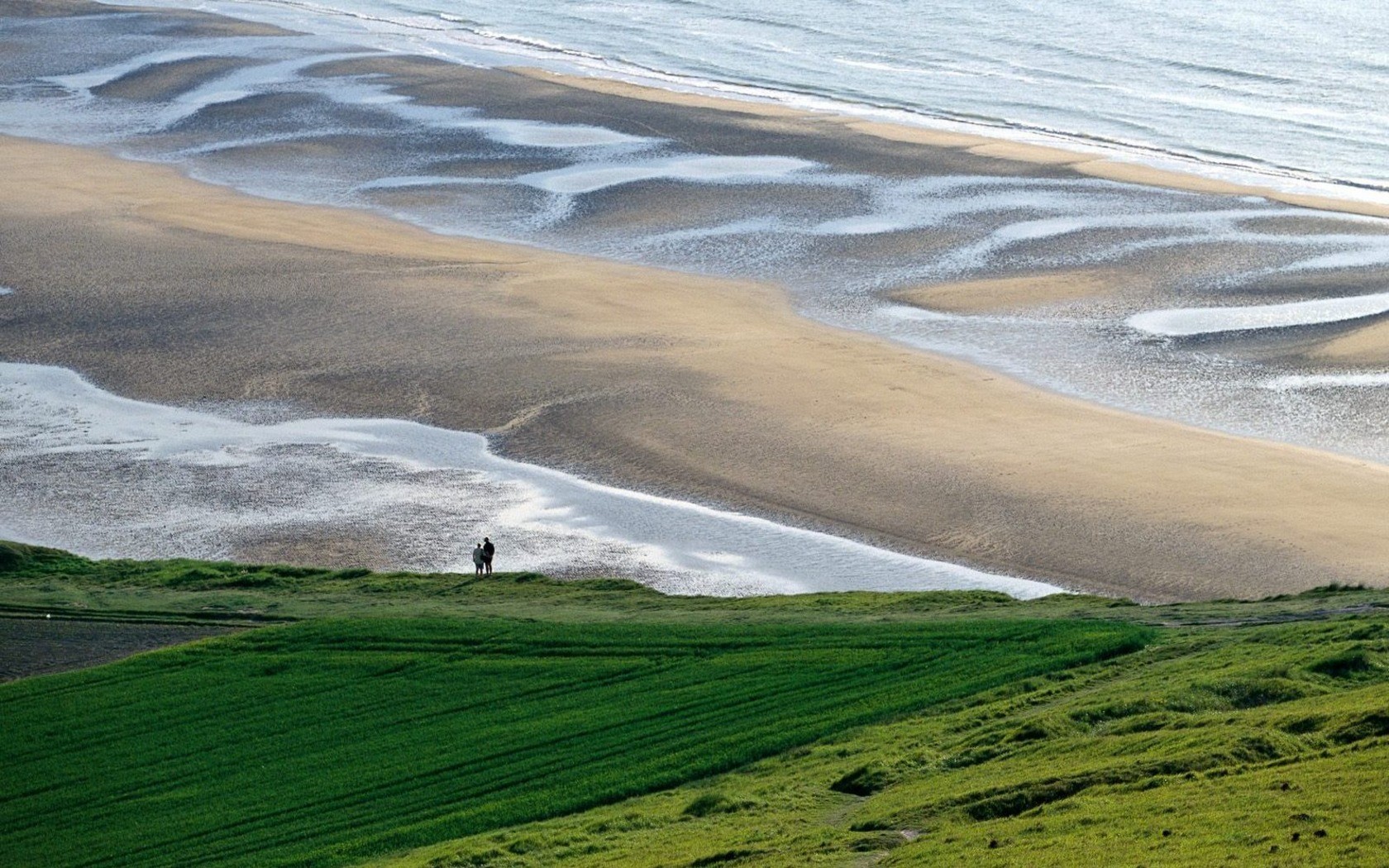 beach field water