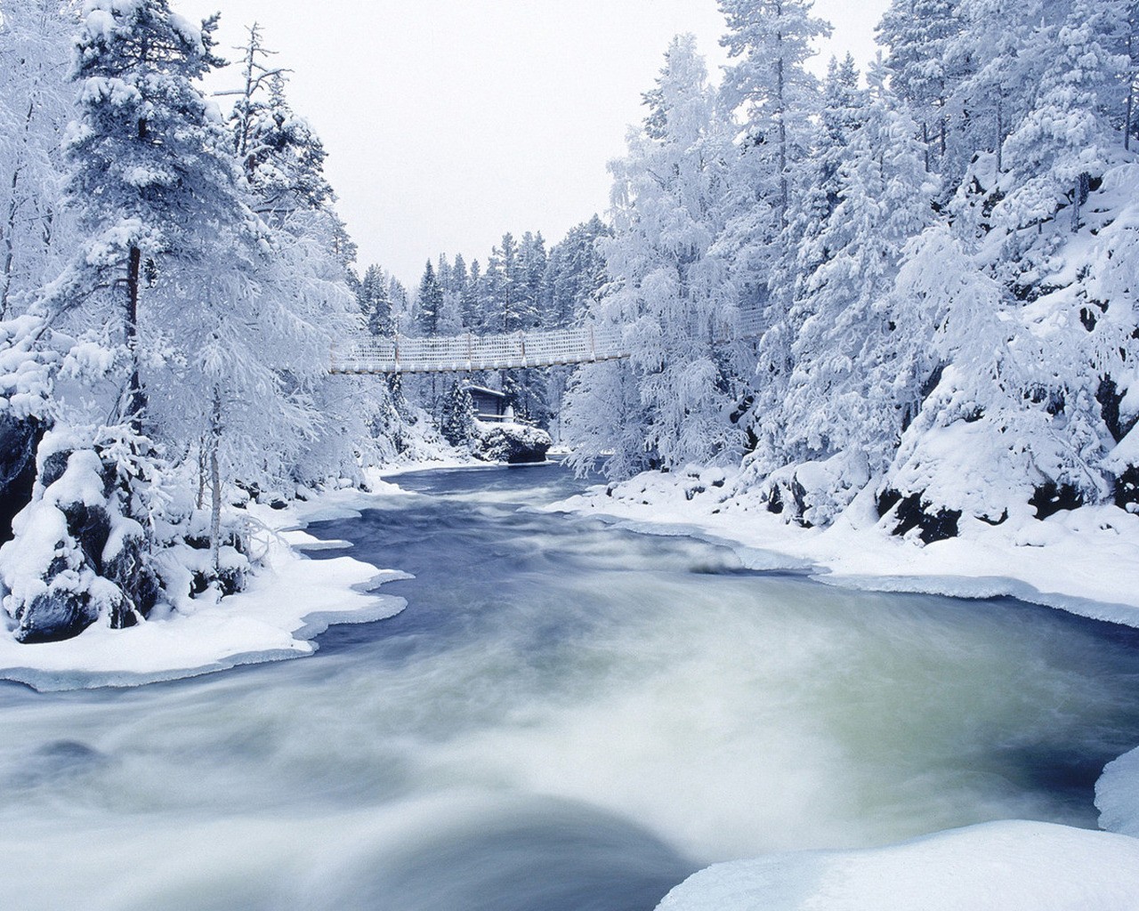 inverno neve alberi gelo fiume ponte