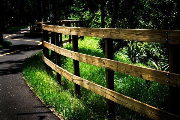 A wooden fence in the length of a stretching road in the forest