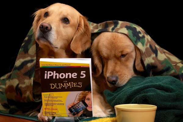 Two puppies under a blanket next to a book and a bowl