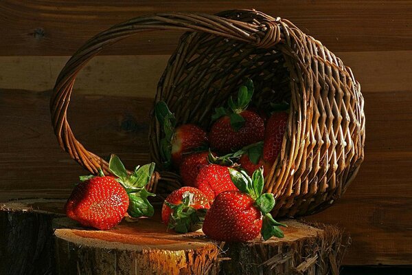 Strawberries spilled out of the basket onto the stump