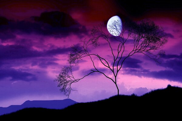 Bella Luna al tramonto viola