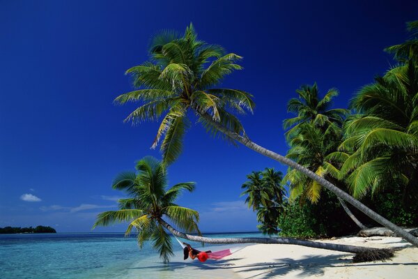 Palm trees and hammock on the background of the sea