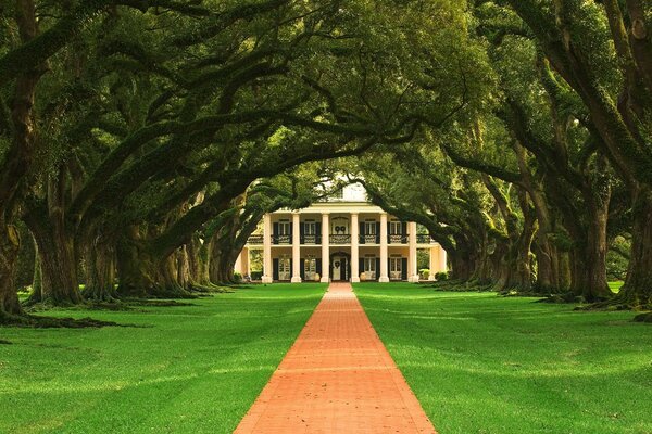 The path to the house. Green lawn