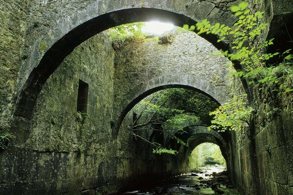 Der Abflusskanal. Alte Gebäude. Moos