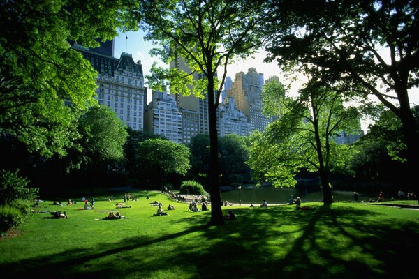 Views of New York from the park